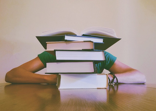 Studying behind a pile of books